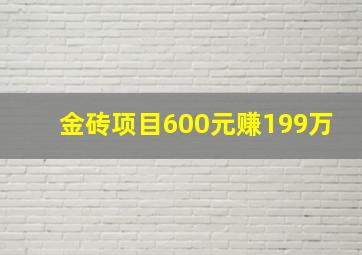 金砖项目600元赚199万