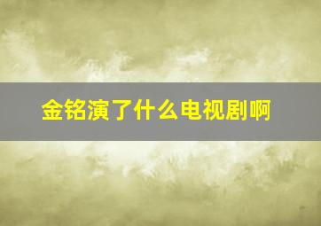 金铭演了什么电视剧啊