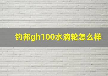 钓邦gh100水滴轮怎么样