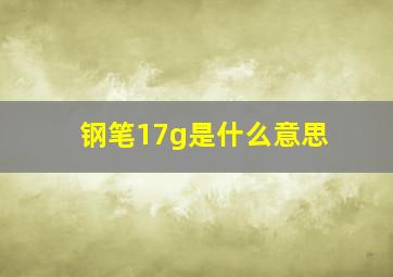 钢笔17g是什么意思