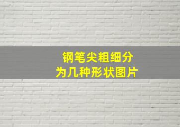 钢笔尖粗细分为几种形状图片