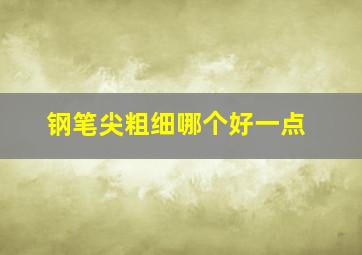 钢笔尖粗细哪个好一点