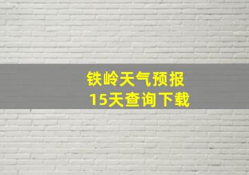 铁岭天气预报15天查询下载