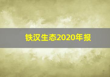 铁汉生态2020年报