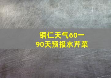 铜仁天气60一90天预报水芹菜