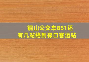 铜山公交车851还有几站络到禄口客运站