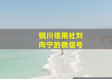 铜川信用社刘向宁的微信号