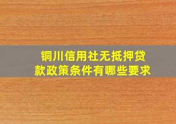 铜川信用社无抵押贷款政策条件有哪些要求