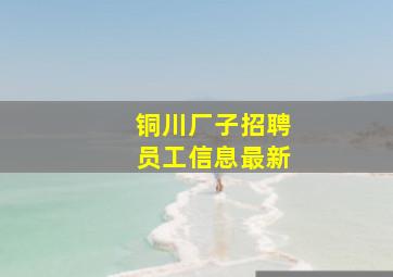 铜川厂子招聘员工信息最新