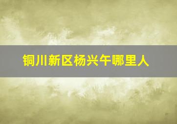 铜川新区杨兴午哪里人