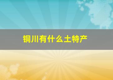 铜川有什么土特产