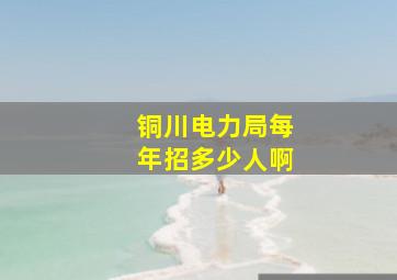 铜川电力局每年招多少人啊