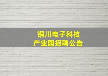 铜川电子科技产业园招聘公告