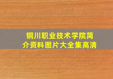 铜川职业技术学院简介资料图片大全集高清