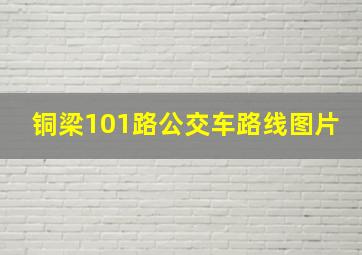 铜梁101路公交车路线图片