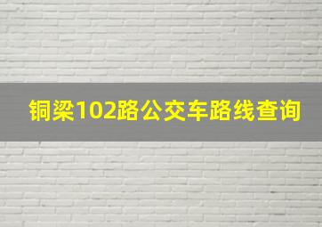 铜梁102路公交车路线查询