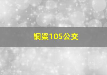 铜梁105公交