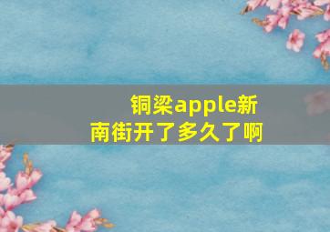 铜梁apple新南街开了多久了啊