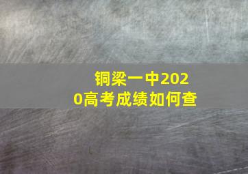 铜梁一中2020高考成绩如何查