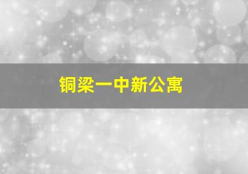 铜梁一中新公寓