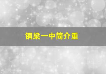 铜梁一中简介重