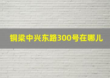 铜梁中兴东路300号在哪儿