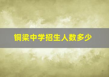 铜梁中学招生人数多少