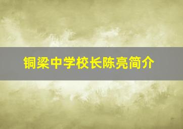 铜梁中学校长陈亮简介