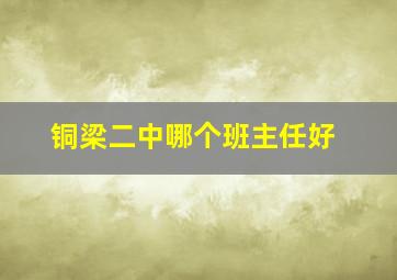 铜梁二中哪个班主任好