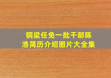 铜梁任免一批干部陈浩简历介绍图片大全集