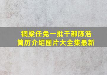 铜梁任免一批干部陈浩简历介绍图片大全集最新