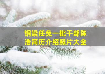 铜梁任免一批干部陈浩简历介绍照片大全