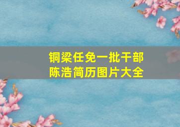 铜梁任免一批干部陈浩简历图片大全