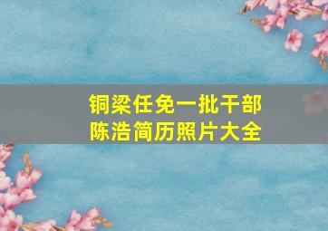 铜梁任免一批干部陈浩简历照片大全