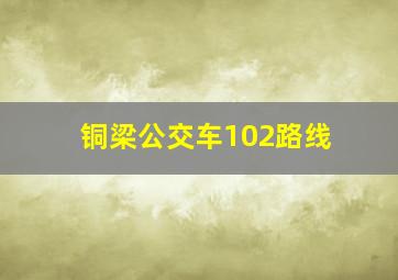 铜梁公交车102路线