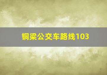 铜梁公交车路线103