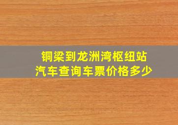 铜梁到龙洲湾枢纽站汽车查询车票价格多少