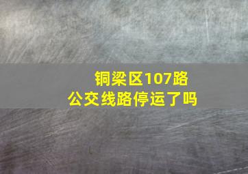 铜梁区107路公交线路停运了吗