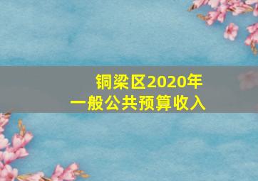 铜梁区2020年一般公共预算收入