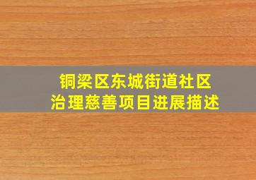 铜梁区东城街道社区治理慈善项目进展描述