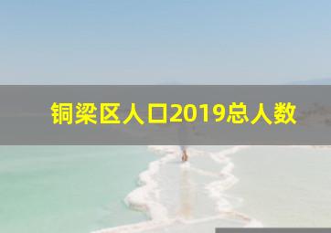 铜梁区人口2019总人数