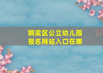 铜梁区公立幼儿园报名网站入口在哪