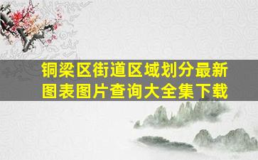 铜梁区街道区域划分最新图表图片查询大全集下载