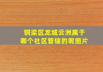 铜梁区龙城云洲属于哪个社区管辖的呢图片