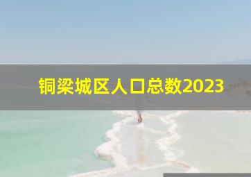 铜梁城区人口总数2023