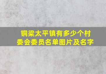 铜梁太平镇有多少个村委会委员名单图片及名字