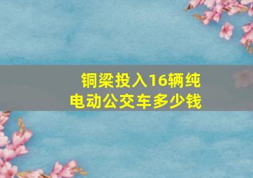 铜梁投入16辆纯电动公交车多少钱