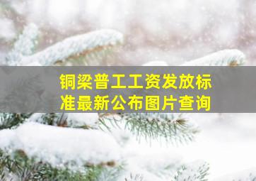 铜梁普工工资发放标准最新公布图片查询