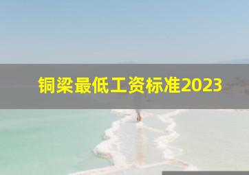 铜梁最低工资标准2023