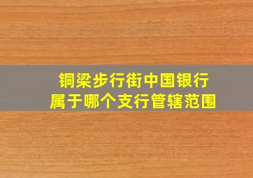 铜梁步行街中国银行属于哪个支行管辖范围